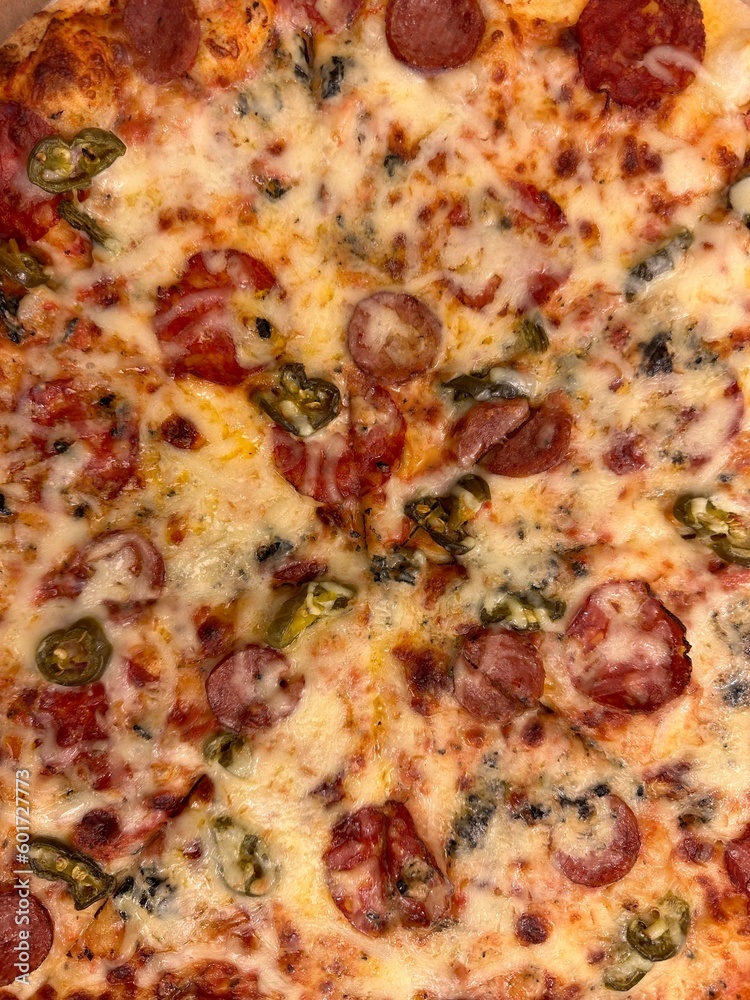 the pizza. detail. pizza texture. background. the pizza. detail. pizza texture. background.
