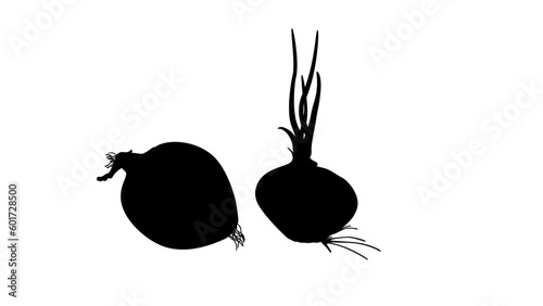 onion silhouette