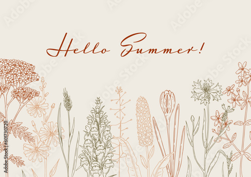 Hand drawn summer horizontal wildflowers design. Vector illustration in sketch style. Meadow flowers aesthetic background