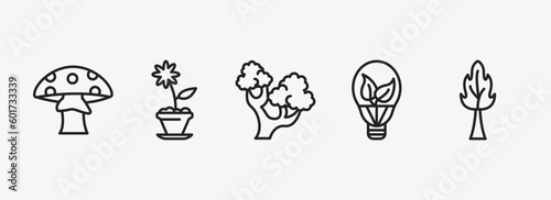 nature outline icons set. nature icons such as mushroom with spots, daisy on pot, northern red oak tree, led bulb, the maples tree vector. can be used web and mobile.