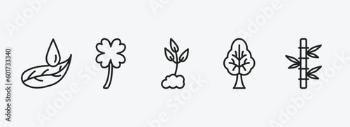 collection. thin linear outline icons set. collection. thin linear icons such as leaf and drop, clovers, cultivation, tree with big foliage, bamboo plant from japan vector. can be used web and