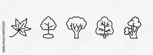 nature outline icons set. nature icons such as autumn leaves, tree growing, paper birch tree, white ash tree, scarlet oak vector. can be used web and mobile.