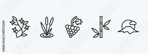 nature outline icons set. nature icons such as ikebana flowers, reeds, grapevine, bamboo branches, sun fuji mountain vector. can be used web and mobile.