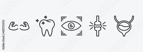 medical outline icons set. medical icons such as strong, molar, eye scanner medical, knee, bladder vector. can be used web and mobile.