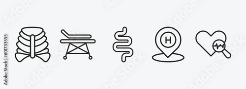 medical outline icons set. medical icons such as sternum, hospital bed side view, intestines, hospital placeholder, medical heart scan vector. can be used web and mobile.