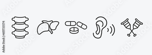 medical outline icons set. medical icons such as vertebra, liver, drug pills, ear, crutches couple vector. can be used web and mobile.