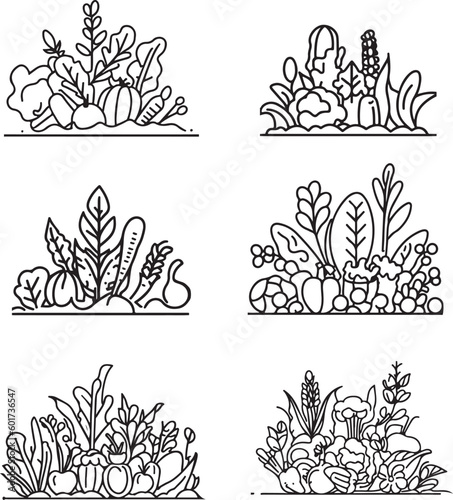 Set of crops wheat barley line art vector silhouette crop 