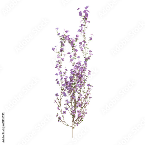 3d render illustration clematis tree falling vines isolated