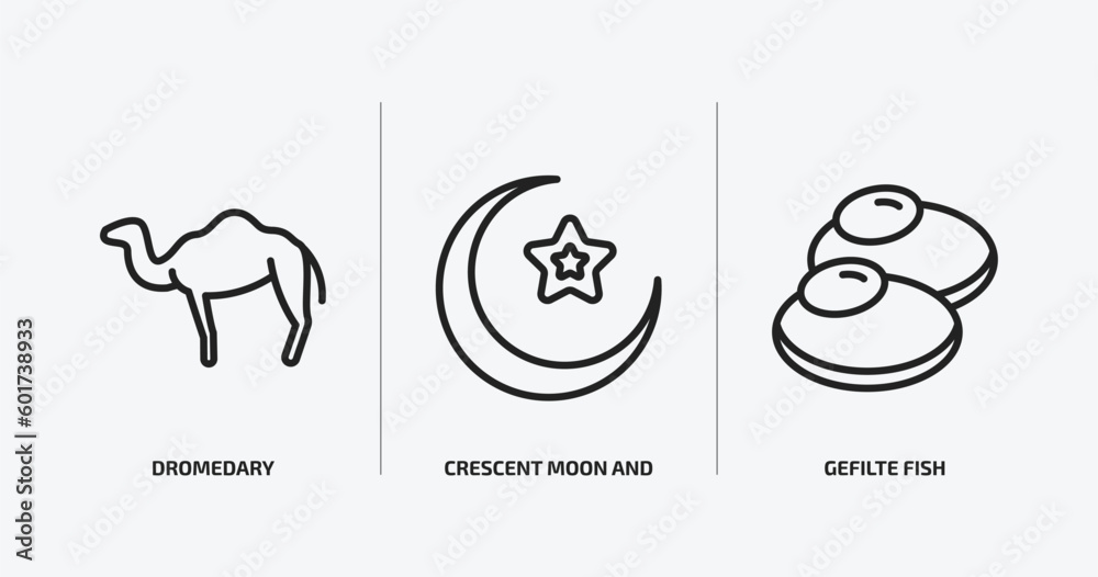 religion outline icons set. religion icons such as dromedary, crescent moon and star, gefilte fish vector. can be used web and mobile.