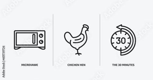 other outline icons set. other icons such as microvawe, chichen hen, the 30 minutes vector. can be used web and mobile. photo
