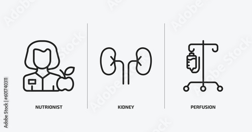 medical outline icons set. medical icons such as nutrionist, kidney, perfusion vector. can be used web and mobile.