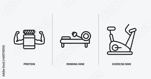 gym and fitness outline icons set. gym and fitness icons such as protein, rowing hine, exercise bike vector. can be used web and mobile.
