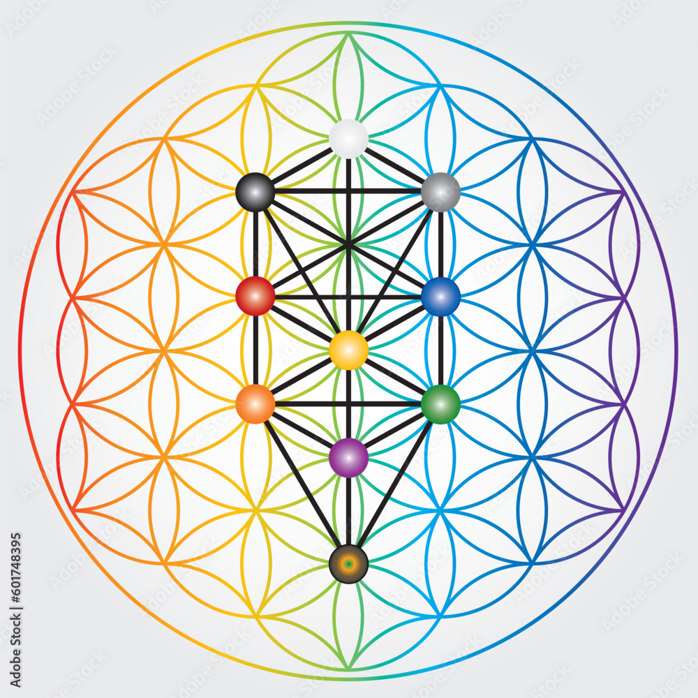 Symbole de la fleur de vie aux couleurs de l'arc-en-ciel, roue énergétique de l'univers cosmique, arbre des séphiroth, kabbale