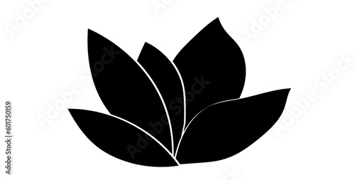 graphical magnolia flower. Vector.