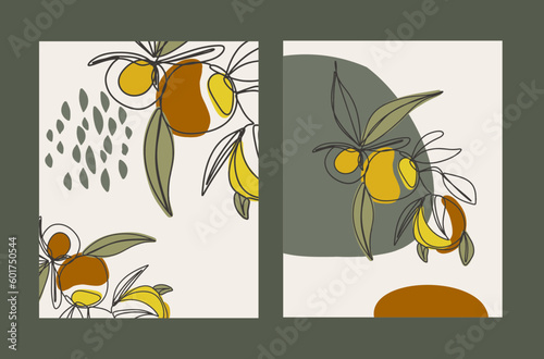 Collection posters. Botanical banner with orange fruits and the seamless pattern  leaves  branches  and plants. Set of vector illustrations.