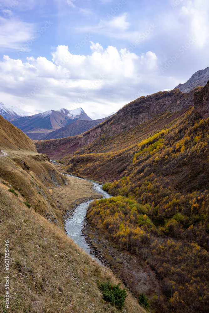A river flows through the dry yellow Truso Valley near Stepantsminda in Georgia. Hills with dry grass and colorful autumn trees.