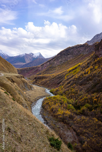 A river flows through the dry yellow Truso Valley near Stepantsminda in Georgia. Hills with dry grass and colorful autumn trees.