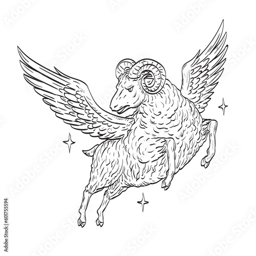 Comics style drawing or illustration of a ram sheep with wings flying in night sky which is a symbol of the Golden Fleece viewed from the high angle isolated background in black and white retro style.