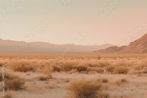 Minimalist desert scene