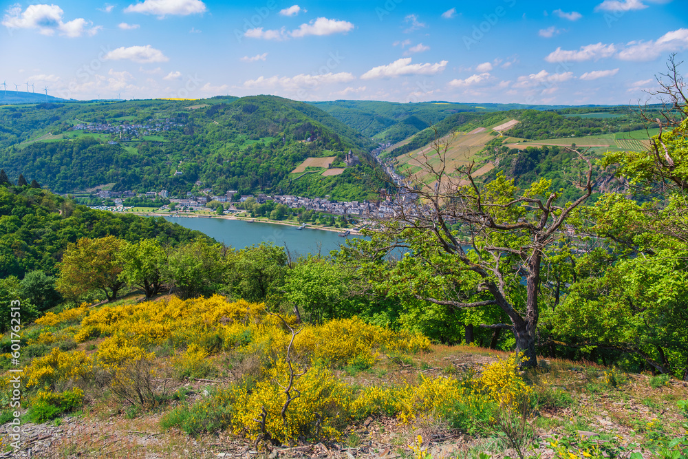 View from the Wisper Trail near Lorchhausen/Germany down into the valley on the Rhine