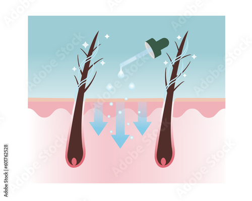 Repair, treat and fix damaged hair with drop of hair treatment vector on green background. Drops of treatment absorb into scalp layer. Hair care concept illustration.