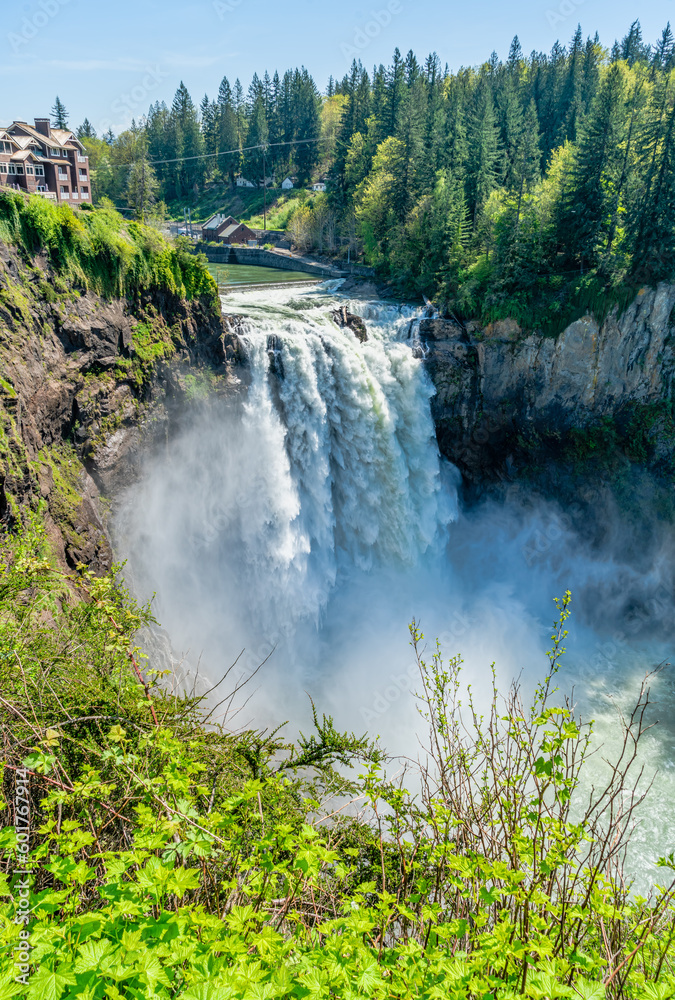 Fototapeta premium Snoqualmie Falls Landscape 3
