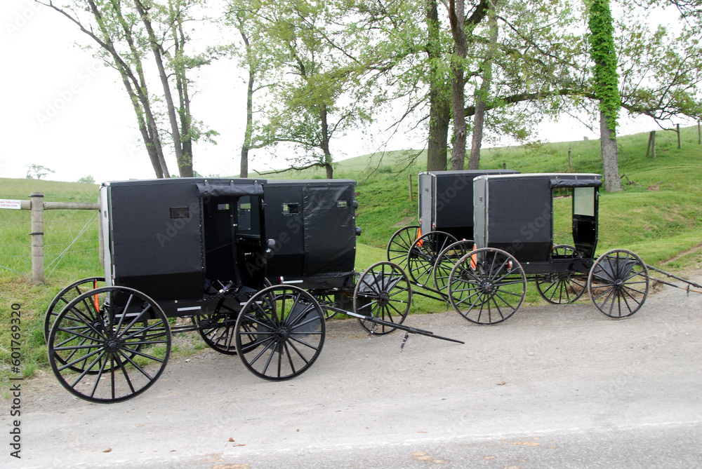 parked carriages of amish people