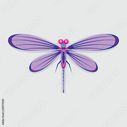 dragonfly on a white background