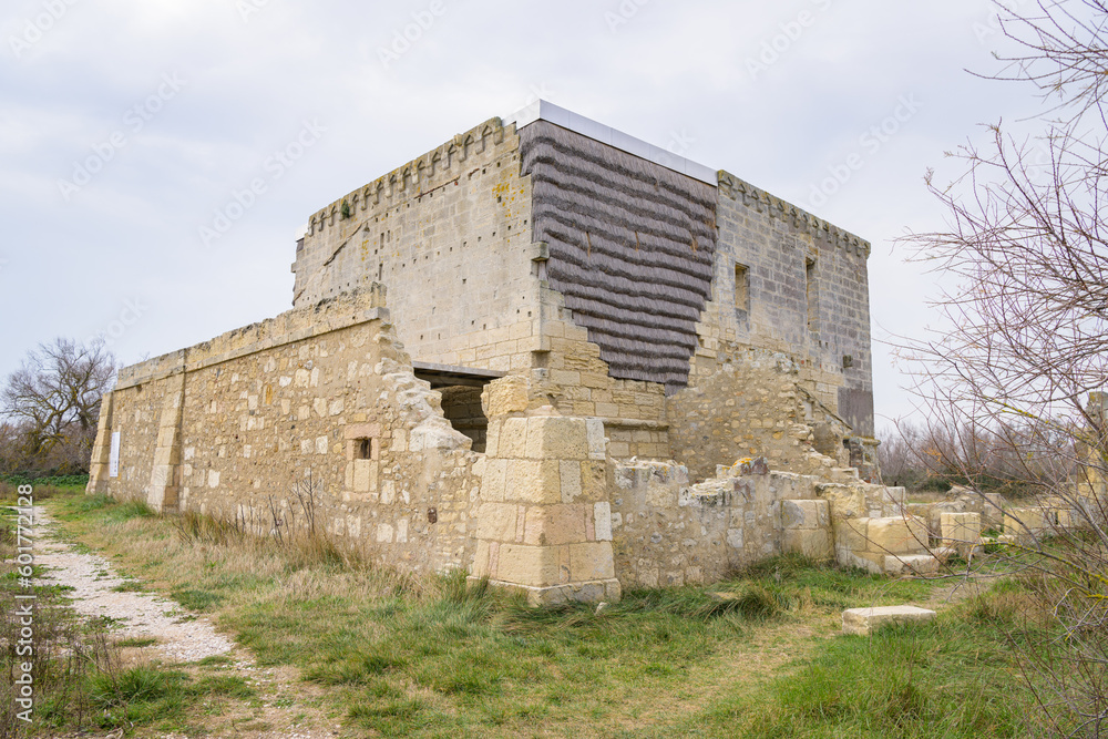 Ruin of an old fortress in Camargue in springtime Ruin of an old fortress in Camargue in springtime