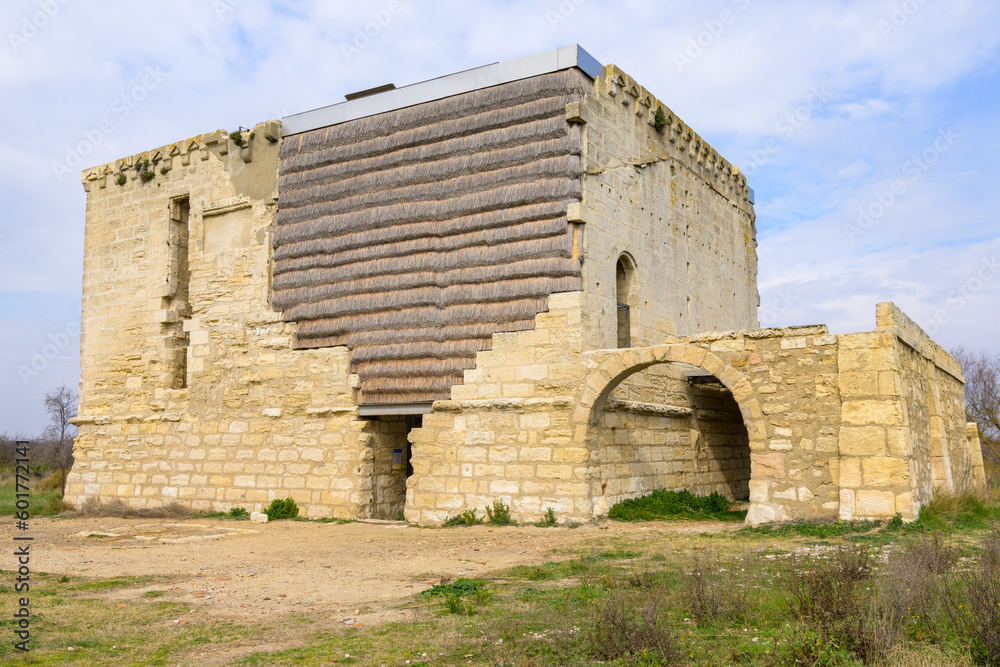 Ruin of an old fortress in Camargue in springtime