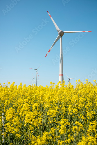 Windräder Windenergie Rapsfeld Frühling Sonne