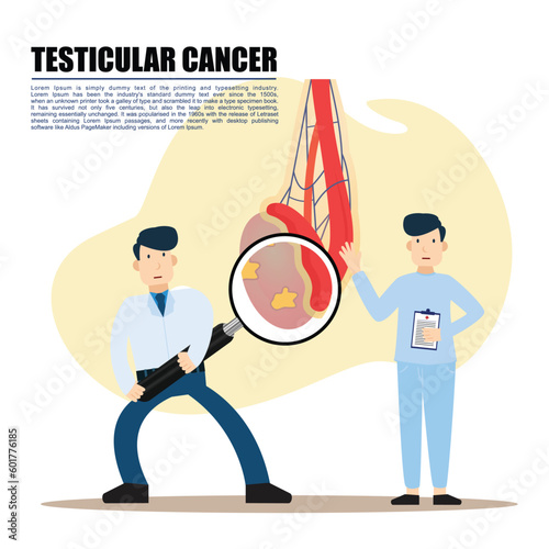 A Male Anatomy of Testicular Cancer