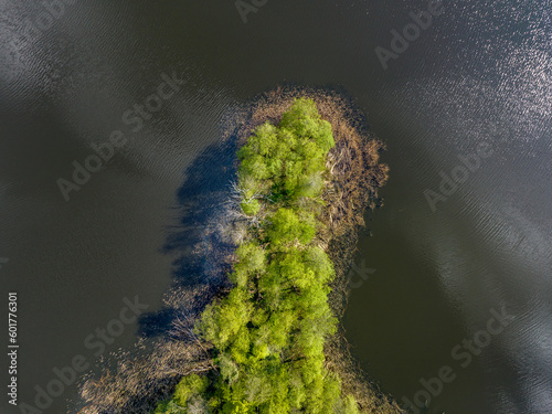 Fototapeta Naklejka Na Ścianę i Meble -  Aerial top down view of beautiful landscape of lake with green trees, clouds reflections in water