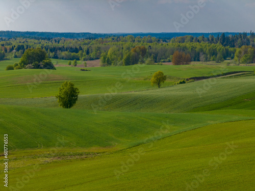 Wallpaper Mural Aerial view of meadows and agricultural field in spring with blue sky, Poland, Mazury Torontodigital.ca