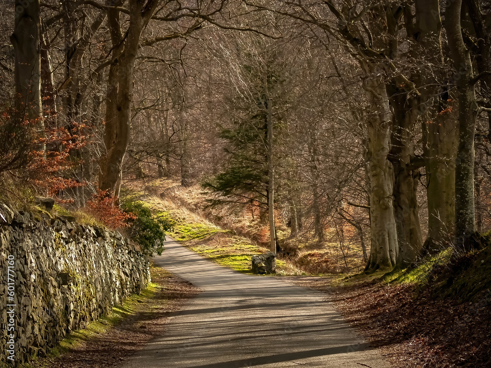 Obraz premium Haysoun and Crookston Burn Path