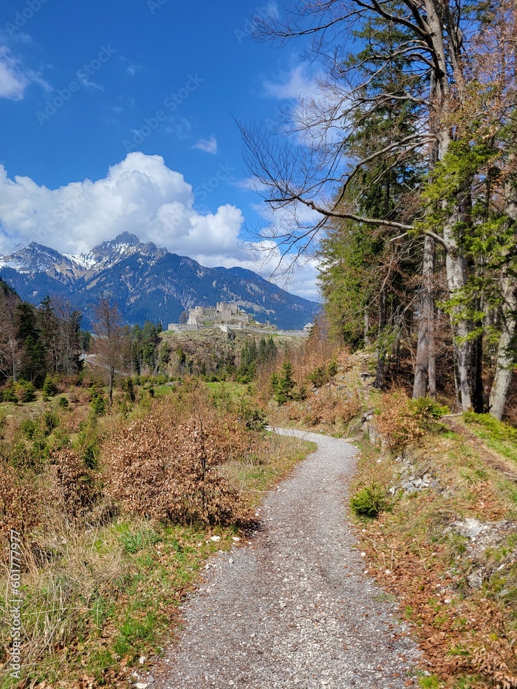 Trail to Castle Ruins in Austria