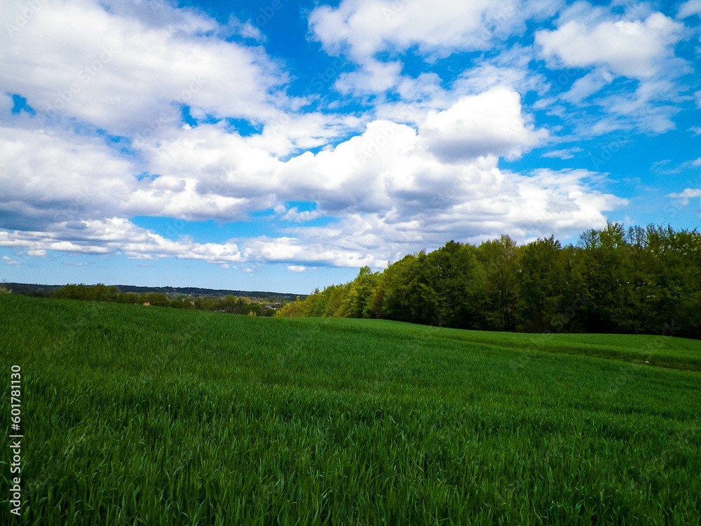 Obraz premium Cloudy sky over fields and meadows.
