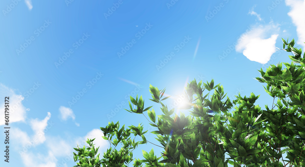 Green Forest Trees and Palms Against Blue Sky and Shining Sun. Travel Vacation Nature Concept. Up View On Tropical Jungle Background. 3D Rendering. Natural ecology high quality. 