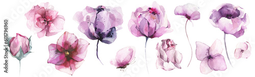 Watercolor floral set of violet, pink poppy, rose, peony, lotus, wild flowers, butterfly. Cut out hand drawn PNG illustration on transparent background. Watercolour clipart drawing.