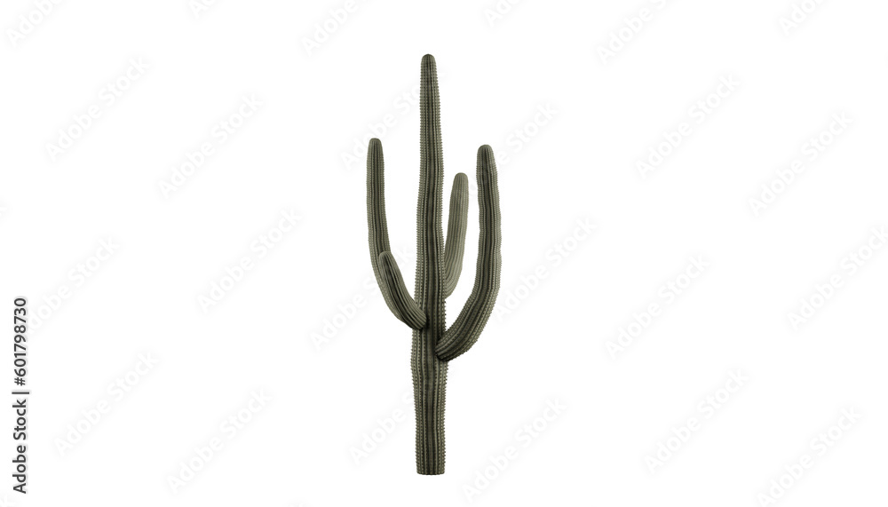 Captivating Saguaro Cactus on a Transparent Background. Cactus on transparent background. 3D render.