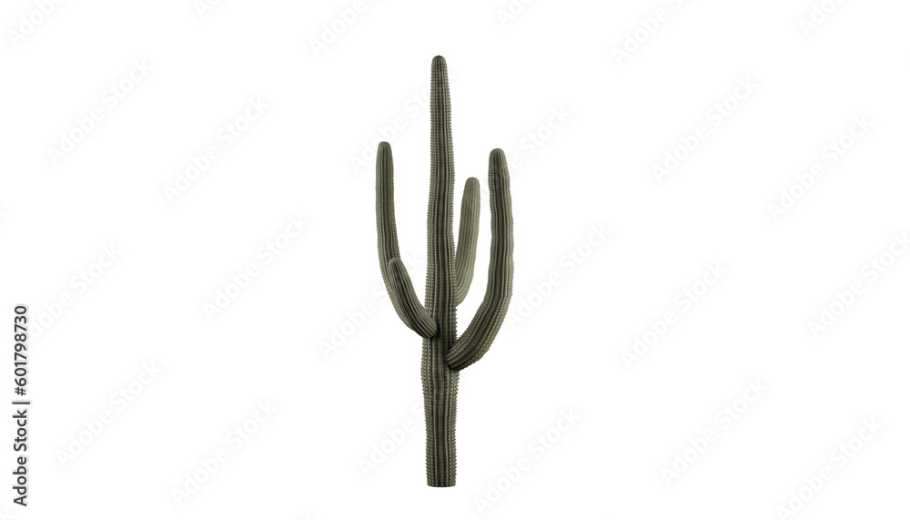 Captivating Saguaro Cactus on a Transparent Background. Cactus on transparent background. 3D render. Captivating Saguaro Cactus on a Transparent Background. Cactus on transparent background. 3D render.