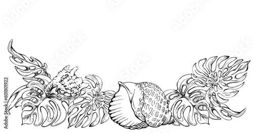 Hand drawn vector ink composition. Seascape with beach surf, wave, sea shells on monstera leaves. Isolated on white background. Wall art, wedding, print, fabric, cover, card, tourism, travel booklet.