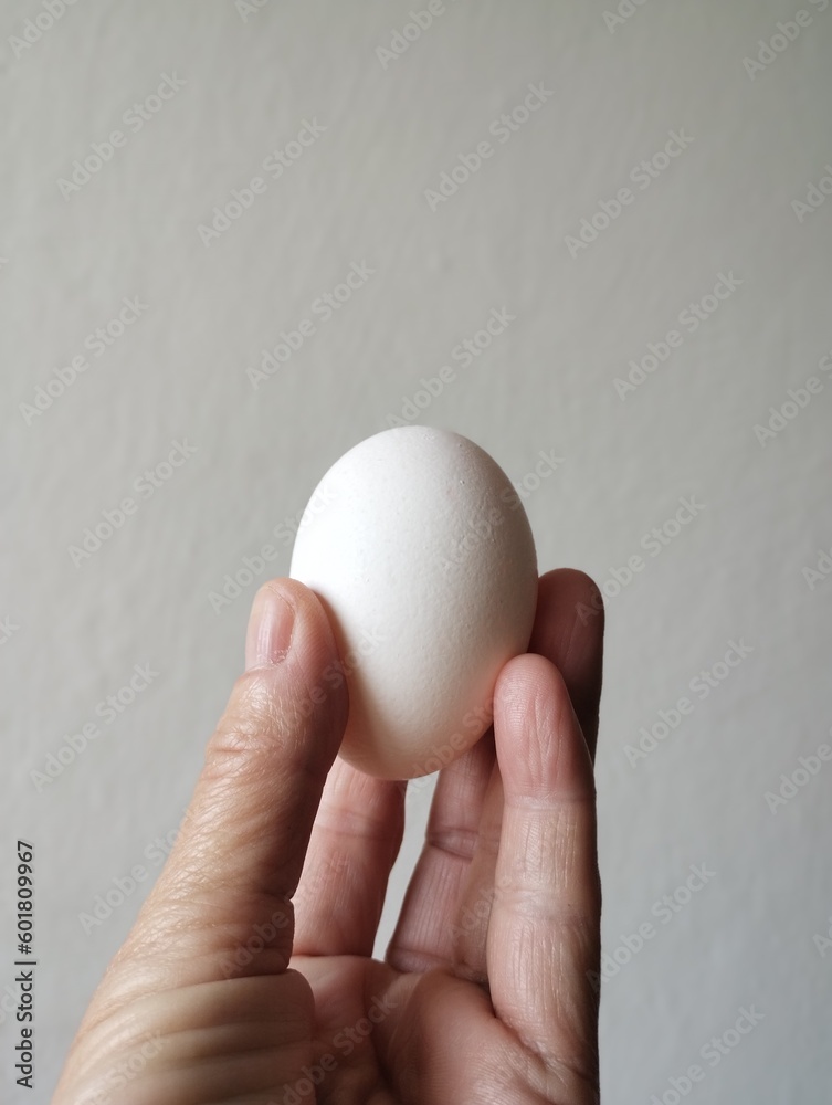A egg in the hand A egg in the hand