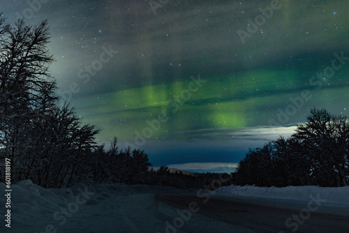 Night sky with stars and green polar northern lights on the background of roads, trees, snow in winter