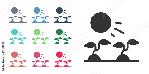 Black Plant sprouts grow in the sun icon isolated on white background. Seedling concept. Set icons colorful. Vector
