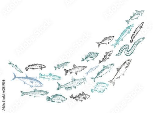 Shoaling fish graphic sketch, vector illustration