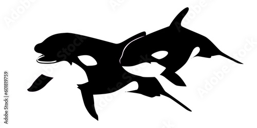 the orka vector eps 10