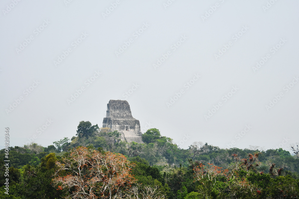 Templo IV, también llamado de la Serpiente Bicéfala. Parque Nacional de Tikal en Peten. Guatemala.
