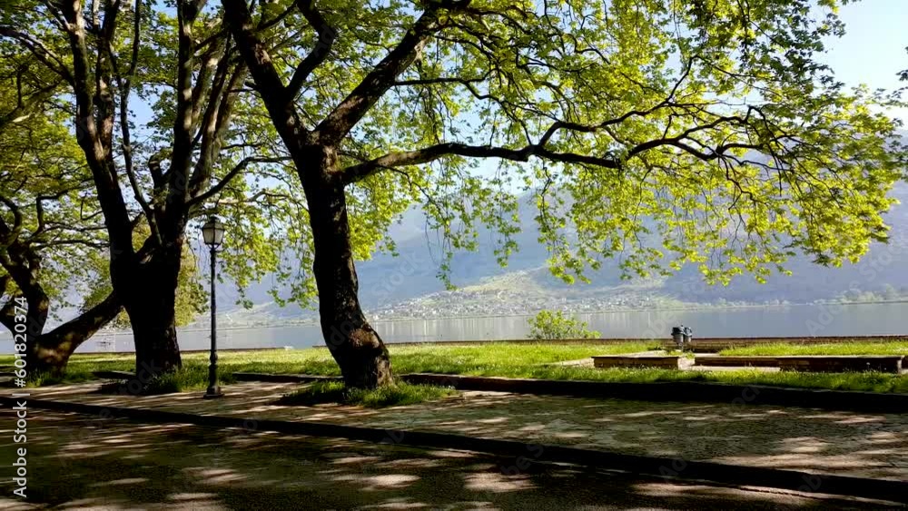 giannena ioannina city by the lake in the morning with green huge platanus trees