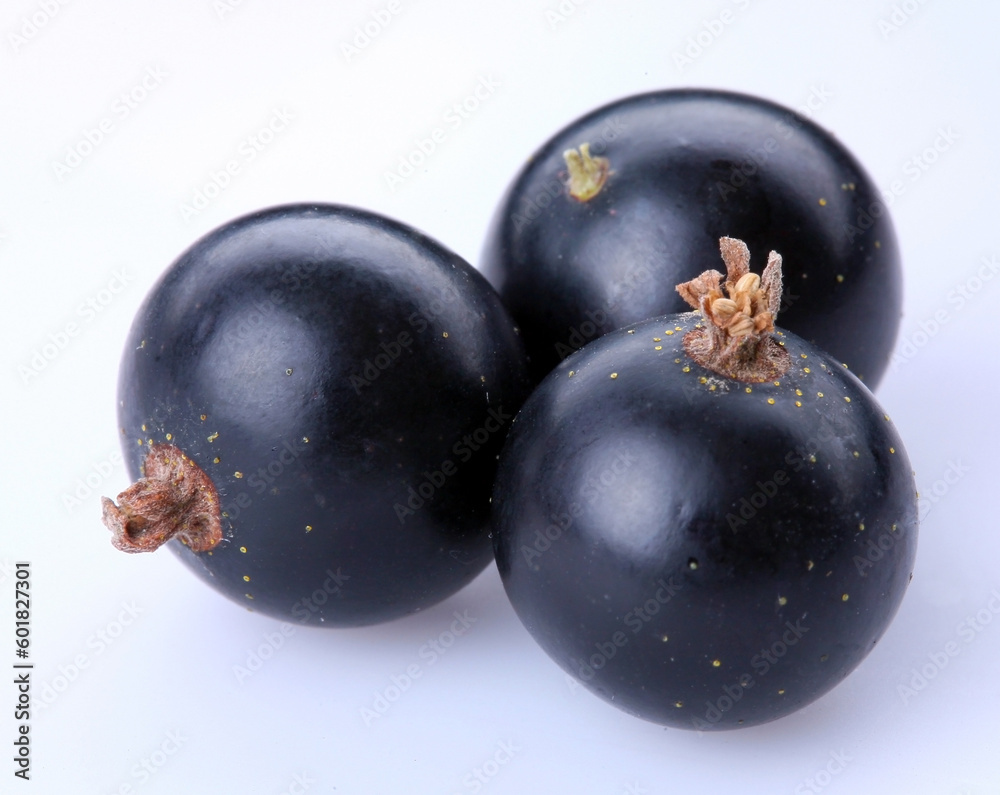 currant black; Objects on white background currant black; Objects on white background